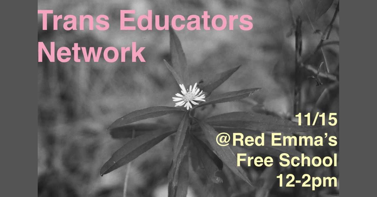 Trans Educators Network November 2025